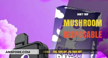 Trip-Free Mushroom Experience: Disposable Bliss