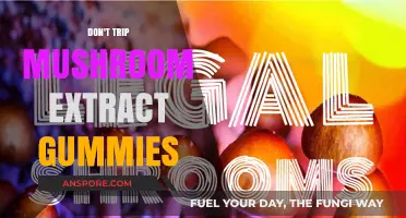 Magic Mushroom Gummies: A Trip-Free Experience