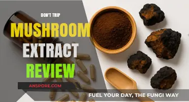 Don't Trip Mushroom Extract Review: Unveiling the Mind-Boosting Benefits