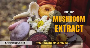 Mushroom Extract: A Natural Way to Avoid Tripping Up
