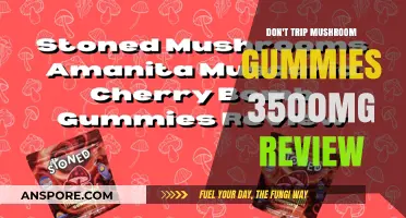 Exploring the Mind: Don't Trip Mushroom Gummies Review