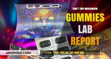 Magic Mushroom Gummies: Trip Report and Lab Insights