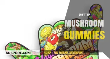 Magic Mushroom Gummies: A Safe Trip