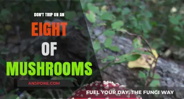 Tripping on Mushrooms: A Journey to Avoid