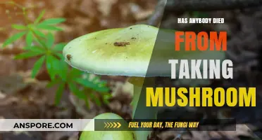 Mushroom Poisoning: Deadly or Not?