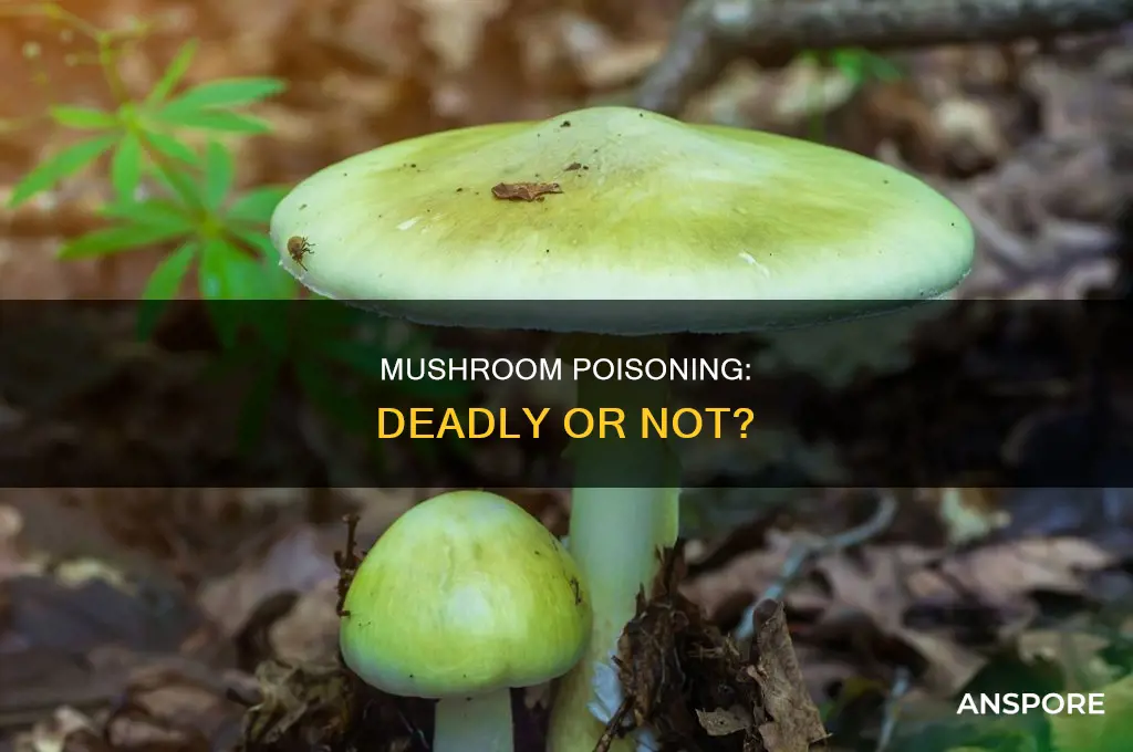 has anybody died from taking mushrooms
