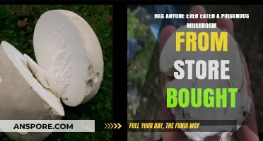 Store-Bought Mushroom Safety: Can You Accidentally Eat a Poisonous One?