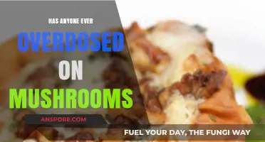 Mushroom Overdoses: Are They Possible?