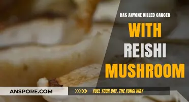 Reishi Mushrooms: Cancer Cure or Just a Myth?