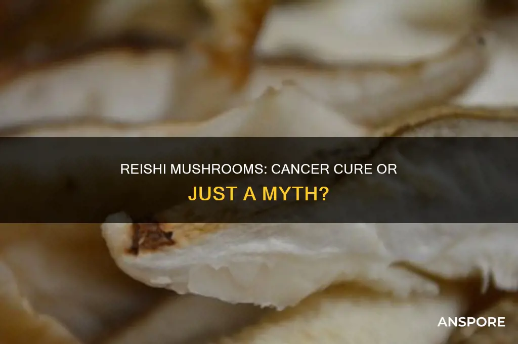 has anyone killed cancer with reishi mushroom