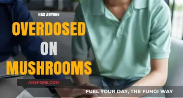Mushroom Overdoses: What You Need to Know