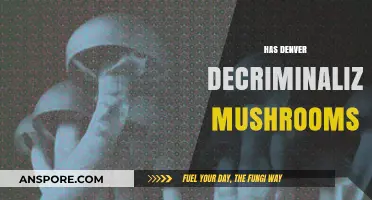 Denver Decriminalizes Magic Mushrooms: Law and Future