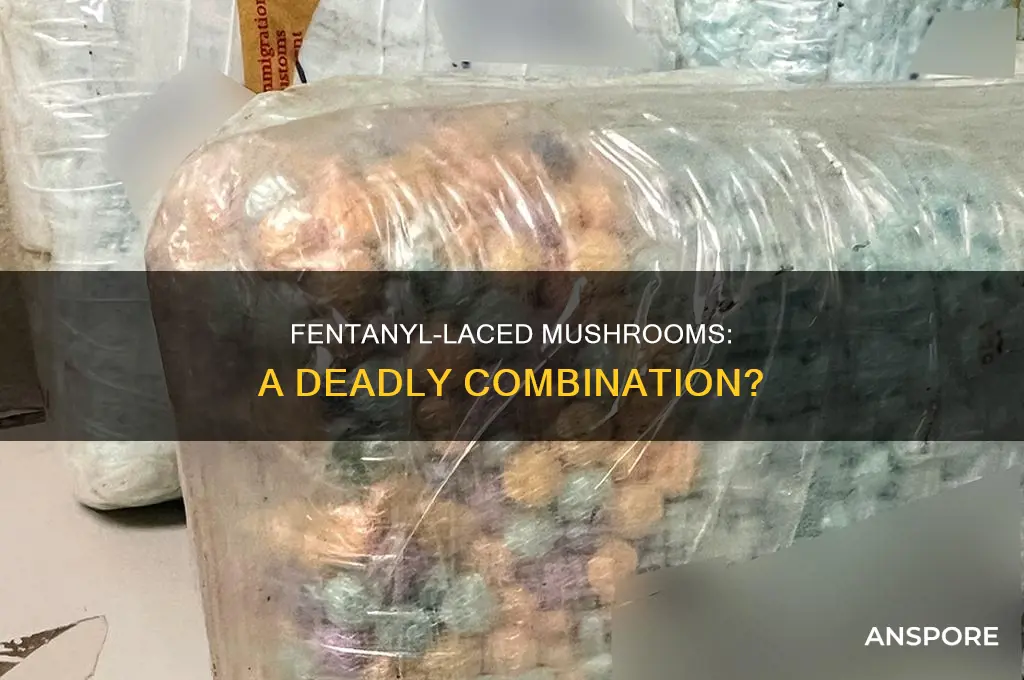 has fentynal ever been mixed with mushrooms