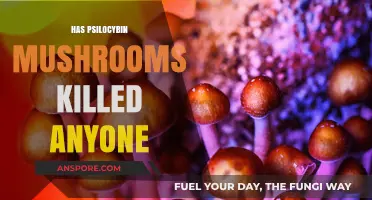 Psilocybin Mushrooms: Deadly or Not?
