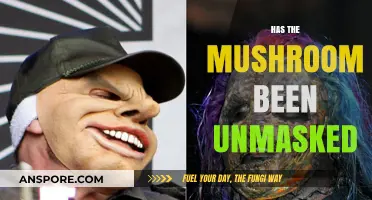 Mushroom Mystery: Unmasking the Fungi's Secrets