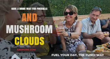 Fireballs, Mushroom Clouds: Drinking to the End of Days