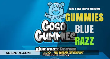 Trip Safely with Blue Razz Gummies