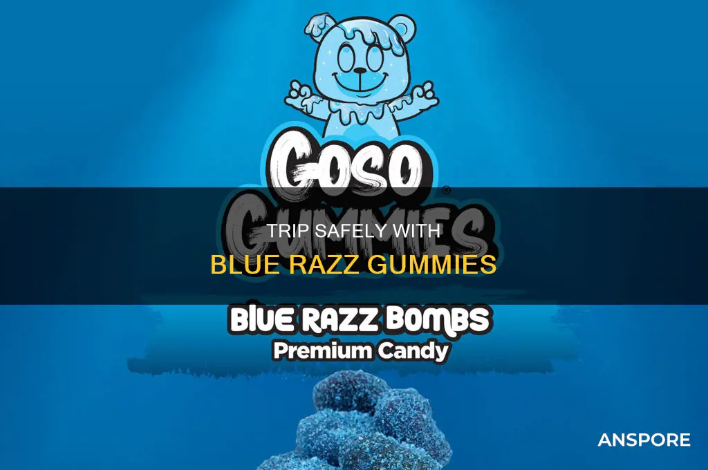 have a nice trip mushroom gummies blue razz