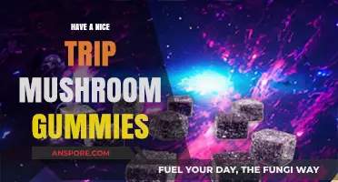 Safe and Fun Adventures with Have a Nice Trip Mushroom Gummies