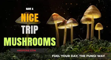 Tripping on Shrooms: A Beginner's Guide