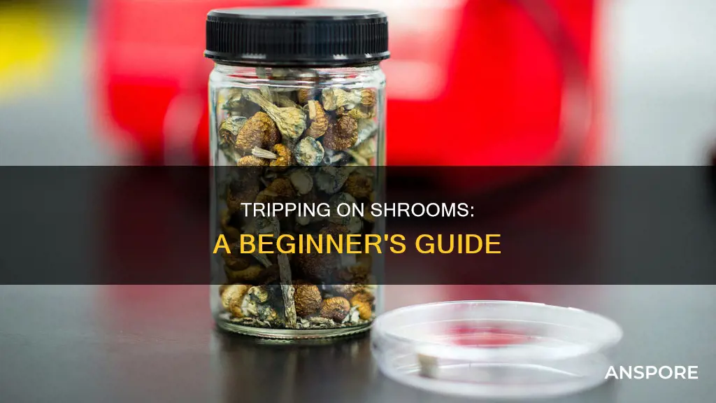 have a nice trip mushrooms