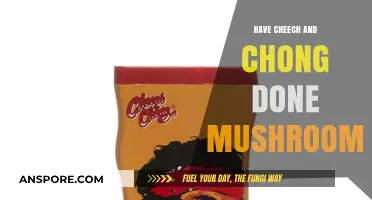 Cheech and Chong's Psychedelic Adventures: Exploring Mushroom Use