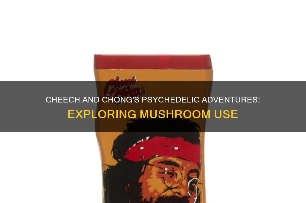 have cheech and chong done mushrooms
