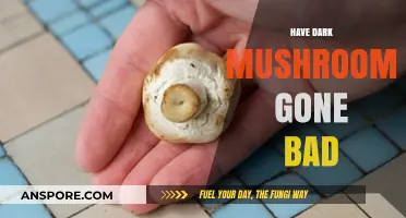 Are Dark Mushrooms Spoiled? Signs to Check Before Cooking