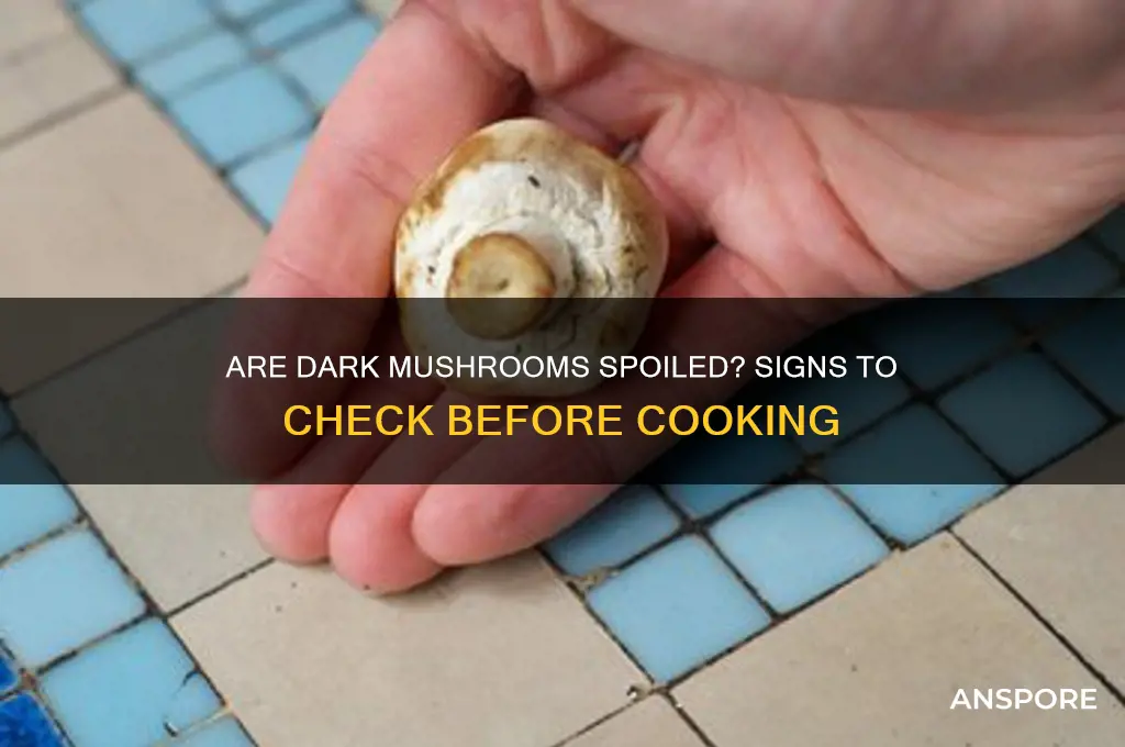 have dark mushrooms gone bad