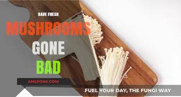 How to Tell If Fresh Mushrooms Have Gone Bad: A Guide