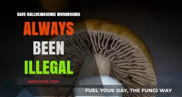 The History of Hallucinogenic Mushroom's Legal Status