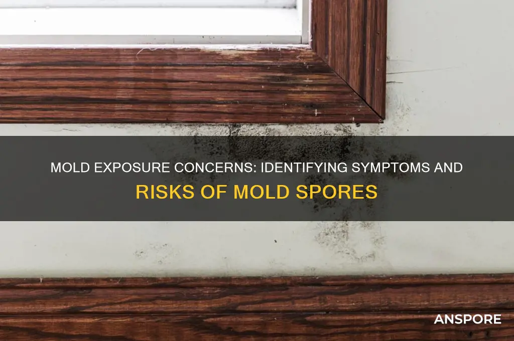 have i been exposed to mold spores