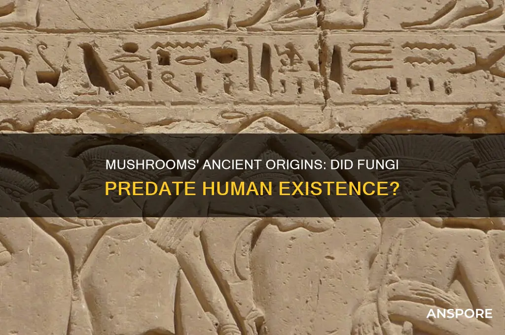 have mushrooms been aeound longer then people