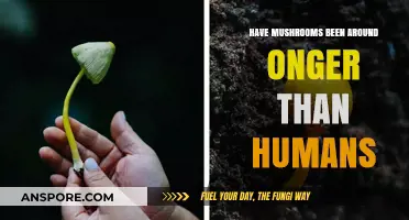 Mushrooms: Earth's Ancient Inhabitants Before Humans