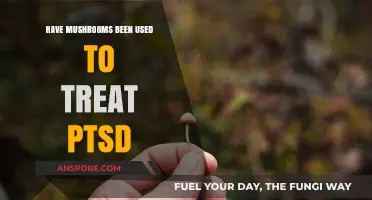 Exploring Mushrooms' Potential Role in PTSD Treatment and Healing