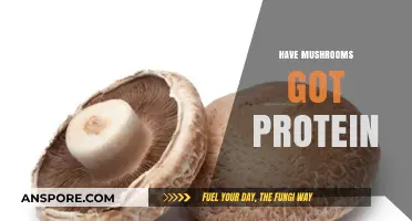 Mushrooms: A Surprising Source of Protein?