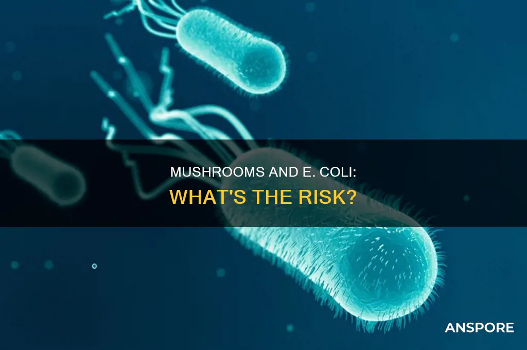 have people gotten ecoli from mushrooms