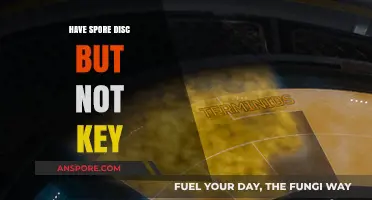 Lost Spore Key? Solutions for Disc Owners Without Activation Code