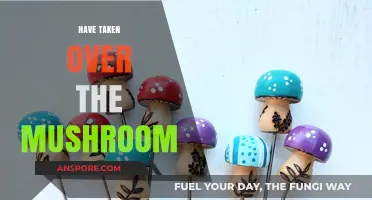 Mushroom Mystery: Who's Taken Over?