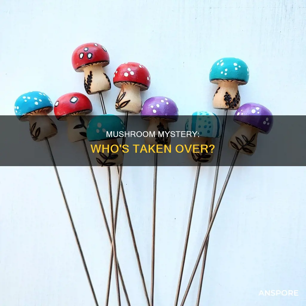 have taken over the mushroom