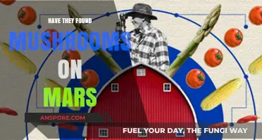 Mushrooms on Mars: What's the Latest?