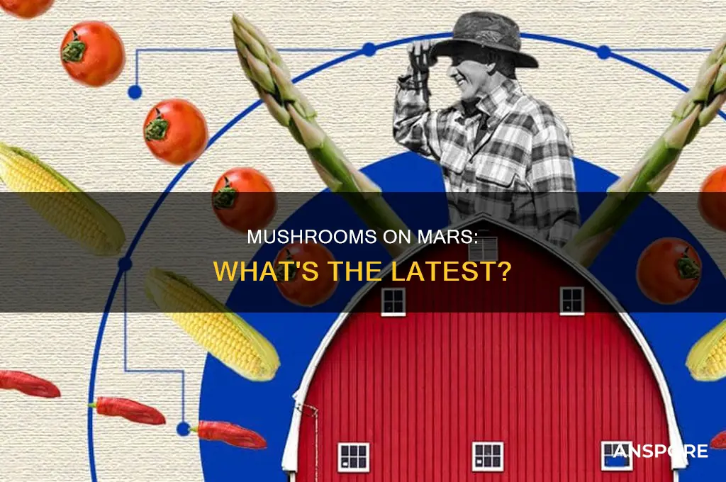 have they found mushrooms on mars
