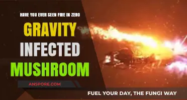 Fire in Zero Gravity: Infected Mushroom's Visual Odyssey