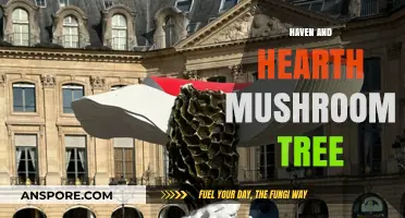 Haven and Hearth: Mushroom Tree Mystery