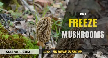 Freezing Mushrooms: A Step-by-Step Guide