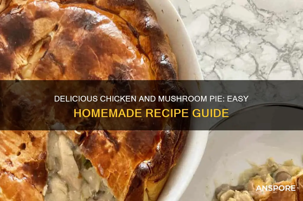 how 2 make chicken and mushroom pie