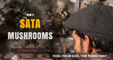Growing Your Own Delicious Shiitake Mushrooms at Home