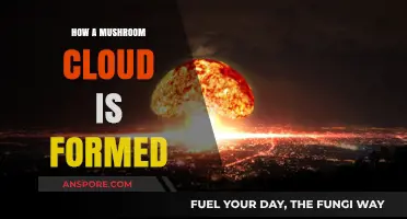 The Making of a Mushroom Cloud