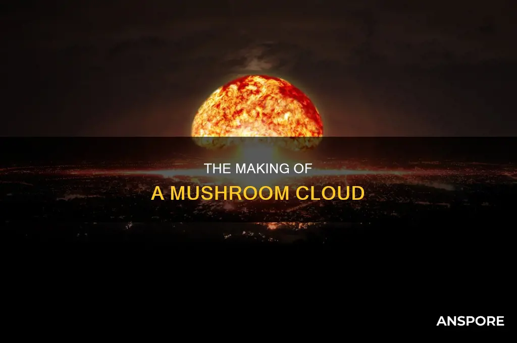 how a mushroom cloud is formed