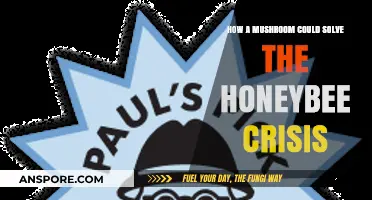 Mushroom Magic: Saving the Bees